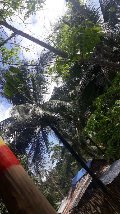 Rasta Family House Hotel El Nido Exterior foto